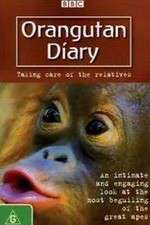 Watch Orangutan Diary Vumoo