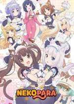 Watch Nekopara Vumoo