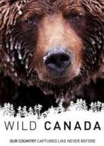 Watch Wild Canada Vumoo