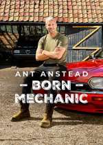 Watch Ant Anstead: Born Mechanic Vumoo