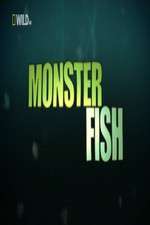 Watch National Geographic Monster Fish Vumoo
