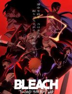 Watch Bleach: Thousand-Year Blood War Vumoo