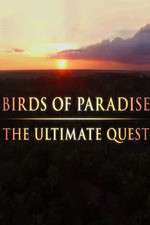 Watch Birds of Paradise: The Ultimate Quest Vumoo