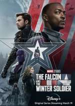 Watch The Falcon and The Winter Soldier Vumoo