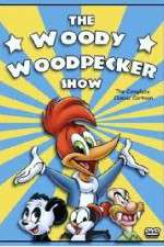 Watch The Woody Woodpecker Show Vumoo
