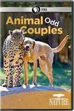 Watch Animal Odd Couples Vumoo