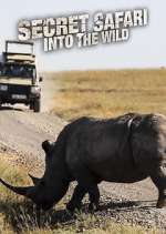 Watch Secret Safari: Into the Wild Vumoo