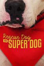 Watch Rescue Dog to Super Dog (US) Vumoo
