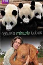 Watch Natures Miracle Babies Vumoo
