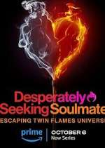 Watch Desperately Seeking Soulmate: Escaping Twin Flames Universe Vumoo