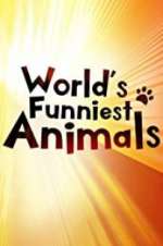 Watch The World\'s Funniest Animals Vumoo