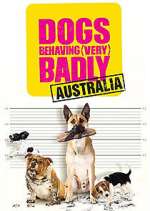 Watch Dogs Behaving (Very) Badly Australia Vumoo