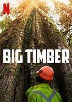 Watch Big Timber Vumoo