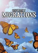 Watch Secret Migrations Vumoo