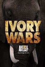 Watch Ivory Wars Vumoo