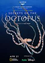 Secrets of the Octopus vumoo
