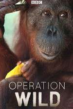 Watch Operation Wild Vumoo