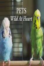 Watch Pets - Wild at Heart Vumoo