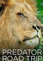 Watch Predator Road Trip Vumoo