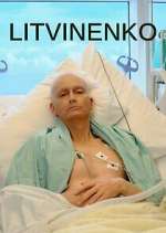 Watch Litvinenko Vumoo