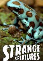 Watch Strange Creatures Vumoo