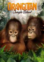 Watch Orangutan Jungle School Vumoo