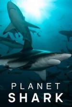Watch Planet Shark Vumoo