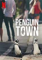 Watch Penguin Town Vumoo