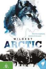 Watch Wildest Arctic Vumoo