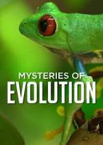 Watch Mysteries of Evolution Vumoo