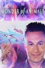 Watch The Wonder of Animals Vumoo