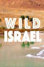 Watch Wild Israel Vumoo