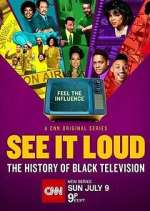 Watch See It Loud: The History of Black Television Vumoo