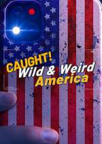 Watch Wild & Weird America Vumoo