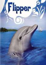 Watch Flipper Vumoo