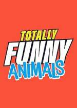 Watch Totally Funny Animals Vumoo