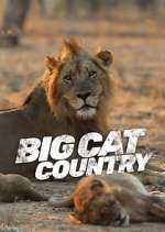 Watch Big Cat Country Vumoo