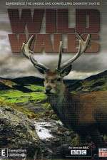 Watch Wild Wales Vumoo