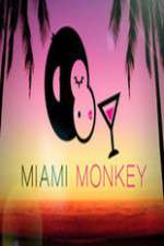 Watch Miami Monkey Vumoo