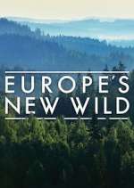 Watch Europe's New Wild Vumoo