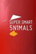 Watch Super Smart Animals Vumoo