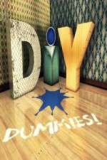 Watch DIY Dummies Vumoo