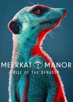 Watch Meerkat Manor: Rise of the Dynasty Vumoo