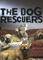 Watch The Dog Rescuers with Alan Davies Vumoo