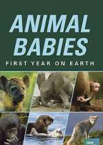 Watch Animal Babies: First Year on Earth Vumoo