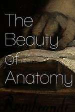 Watch The Beauty of Anatomy Vumoo