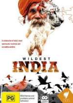 Watch Wildest India Vumoo