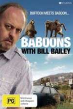 Watch Baboons with Bill Bailey Vumoo