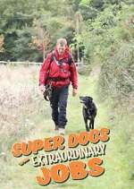 Watch Super Dogs with Extraordinary Jobs Vumoo