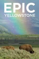 Watch Epic Yellowstone Vumoo